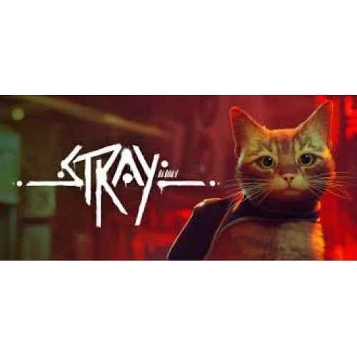  Stray